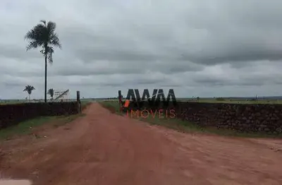 Fazenda à venda, 256920000 m² por r$ 1.500.000.000,00 - zona rural - arapoema/to