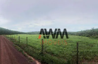 Fazenda à venda, 871200 ha  por r$ 170.000.000 - setor central - araguaína/to