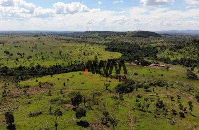 Fazenda à venda, 8595 ha por r$ 230.000.000 - fazenda esmeralda - bandeirantes do tocantins/tocantins