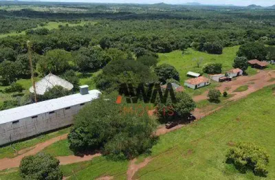 Fazenda à venda na ÁRea Rural, 70, Zona Rural, Paranã