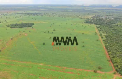 Fazenda à venda, 5227 ha por r$ 150.000.000 - javaés - lagoa da  confusão/to
