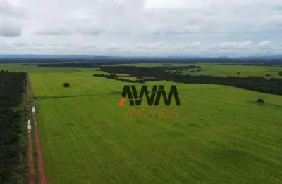 Fazenda à venda, 48400 hectares por r$ 120.000.000 - centro - formosa/go