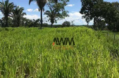Chácara à venda, 12100 ha por r$ 580.000 - chácara na zona rural - itapirapuã/go