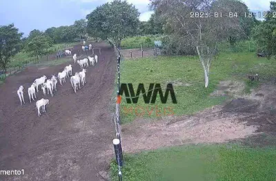 Fazenda à venda, 847.00 hectares por r$ 8.000.000 - zona rural - cocalinho/mt