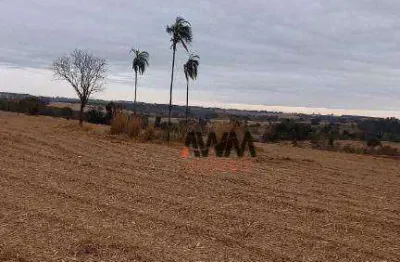 Fazenda à venda, 2.490.18 hectares  por r$ 215.000.000 - centro - sud mennucci/sp