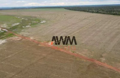 Fazenda à venda, 3.000,80 hectares por r$ 92.000.000 - setor central - araguaína/to