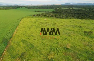 Fazenda à venda, 242,00 hectares por r$ 9.000.000 - zona rural - alto horizonte/go
