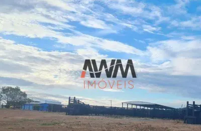Fazenda à venda, 19360000 m² por r$ 65.000.000,00 - zona rural - santa terezinha/mt
