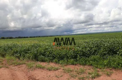 Fazenda à venda, 47730000 m² por r$ 300.000.000,00 - centro - nova xavantina/mt