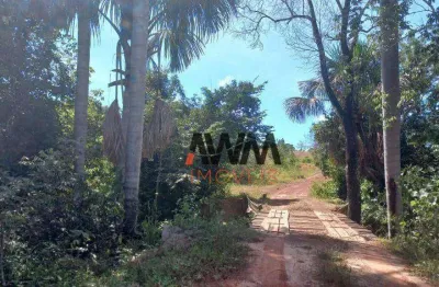 Fazenda à venda, 7090600 m² por r$ 5.570.000,00 - área de tal - pontal do araguaia/mt
