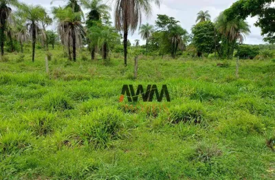 Fazenda à venda, 25748800 m² por r$ 55.000.000,00 - zona rural - duerê/to