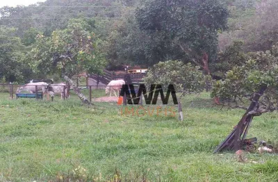 Fazenda à venda, 77.44 hectares por r$ 3.200.000 - centro - goiás/go