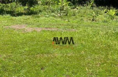 Fazenda à venda, 1.150  hectarespor r$ 8.000.000 - zona rural - natividade/to