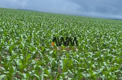 Fazenda à venda, 67900000 m² por r$ 150.000.000,00 - zona rural - nova maringá/mt