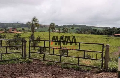 Fazenda à venda, 726000 m² por r$ 7.500.000,00 - setor leste - anicuns/go