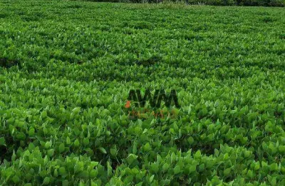 Fazenda à venda, 5130400 m² por r$ 15.000.000,00 - zona rural - silvanópolis/to