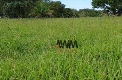 Fazenda à venda, 2444000 m² por r$ 13.000.000,00 - zona rural - novo brasil/go