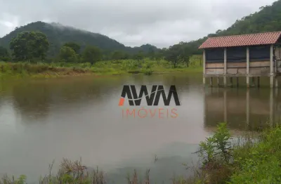 Fazenda à venda, 2662000 m² por r$ 3.000.000,00 - zona rural - fazenda nova/go