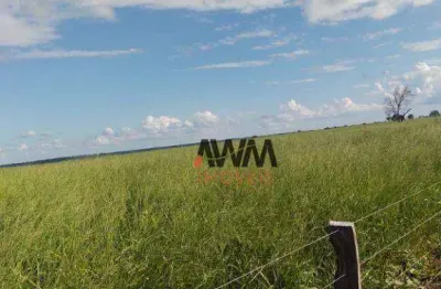 Fazenda à venda, 38329412 m² por r$ 43.560.000,00 - zona rural - monte do carmo/to