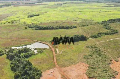 Fazenda à venda, 43560000 m² por r$ 135.000.000,00 - centro - ananás/to