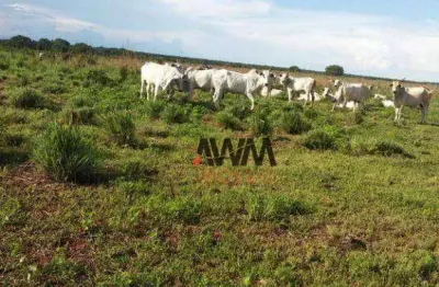 Fazenda à venda, 79279200 m² por r$ 200.000.000,00 - zona rural - duerê/to