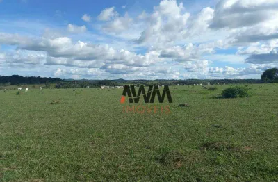 Fazenda à venda, 1548800 m² por r$ 6.400.000,00 - zona rural - itapuranga/go