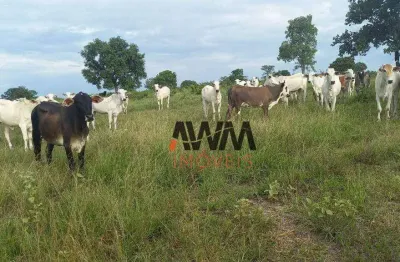 Fazenda à venda, 2032800 m² por r$ 5.880.000,00 - zona rural - faina/go