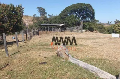 Fazenda à venda, 1355200 m² por r$ 3.000.000,00 - zona rural - itapuranga/go