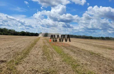 Fazenda à venda, 22264000 m² por r$ 46.000.000,00 - zona rural - santa maria do tocantins/to