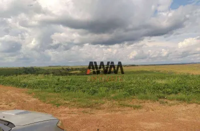 Fazenda à venda, 160000000 m² por r$ 450.000.000,00 - fazenda - fortuna/ma