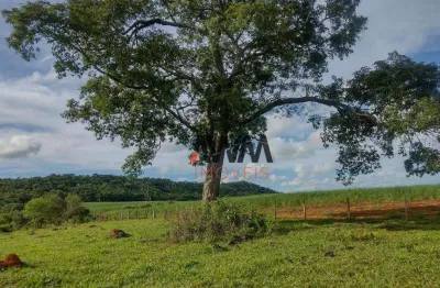 Fazenda à venda, 871200 m² por r$ 5.400.000,00 - vila olinda - anicuns/go