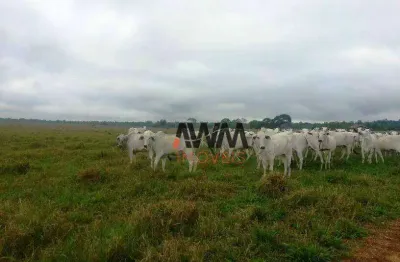 Fazenda à venda, 21000 m² por r$ 450.000.000,00 - novo diamantino - diamantino/mt