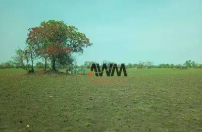 Fazenda à venda, 72000000 m² por r$ 18.000.000,00 - zona rural - alto boa vista/mt