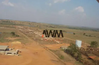 Fazenda à venda, 118096000 m² por r$ 400.000.000,00 - santos dumont - redenção/pa