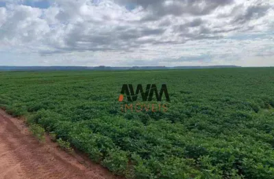 Fazenda à venda, 57520000 m² por r$ 160.000.000,00 - cajueiro - balsas/ma