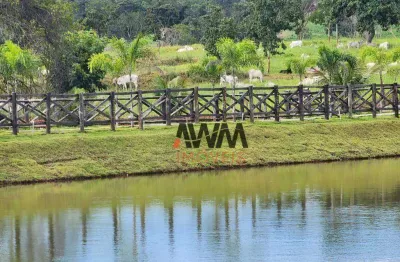 Fazenda à venda, 11906400 m² por r$ 55.000.000,00 - centro - pirenópolis/go