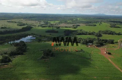 Fazenda à venda, 98,65 alqueirespor r$ 13850000- centro - porangatu/go