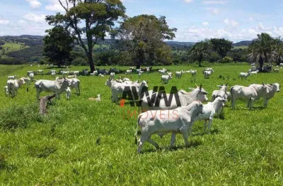 Fazenda à venda, 5008300 m² por r$ 55.000.000,00 - centro - leopoldo de bulhões/go