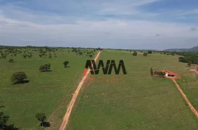 Fazenda à venda, 7260000 m² por r$ 27.000.000,00 - zona rural - montes claros de goiás/go