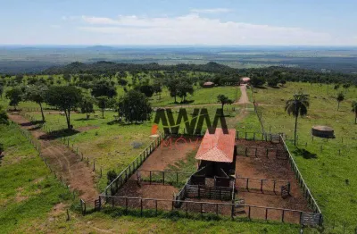 Fazenda à venda, 8228000 m² por r$ 10.000.000,00 - centro - nova roma/go
