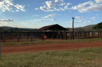 Fazenda à venda, 12100000 m² por r$ 55 milhões - zona rural - santa isabel/go