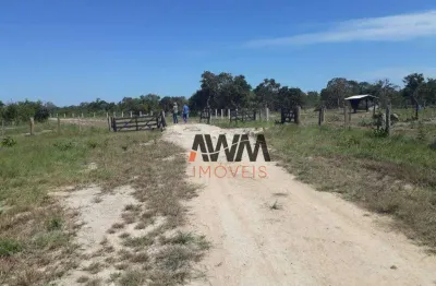 Fazenda à venda, 31060000 m² por r$ 45.000.000 - zona rural - cocalinho/mt