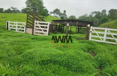 Chácara com 3 quartos à venda, 96800 m² por r$ 780.000 - zona rural - itauçu/go