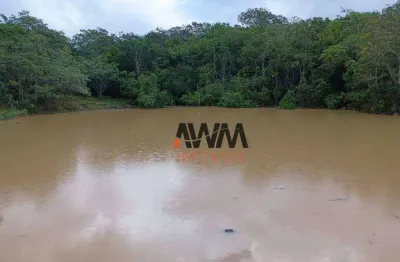 Fazenda à venda, 3963960 m² por r$ 8.000.000,00 - zona rural - água fria de goiás/go