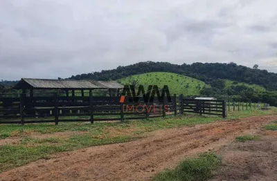 Fazenda à venda, 114830000 m² por r$ 35.000.000,00 - aeroporto velho - itaituba/pa