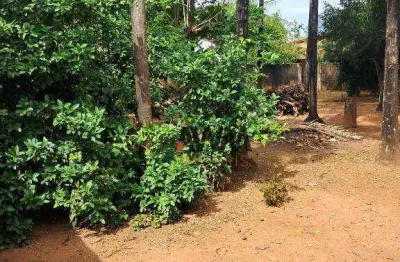 Área à venda, 2635 m² por r$ 1.990.000,00 - setor central - são luís de montes belos/go