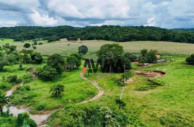 Fazenda à venda, 968000 m² por r$ 7.000.000,00 - zona rural  - pontalina/go