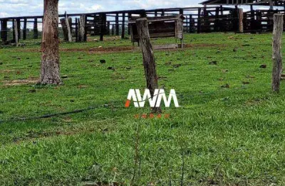 Fazenda à venda, 8131200 m² por R$ 14.000.000 - Centro - Barra do Garças/MT