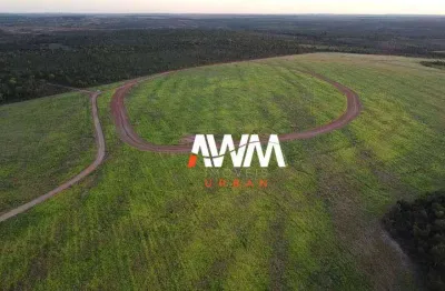 Fazenda à venda, 19260000 m² por R$ 35.000.000 - Centro - Lagoa da  Confusão/TO