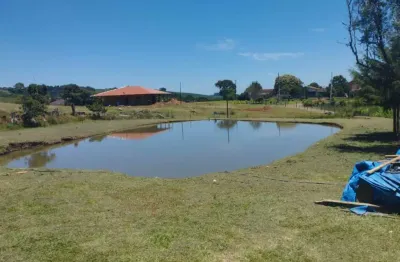 Chácara à venda, 60000.00 m2 por r$1800000.00  - barro preto - imbituva/pr